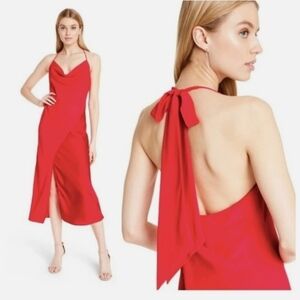 New Cushnie X Target Red Slip Dress 6